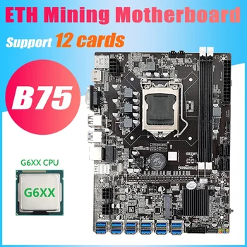 B75 ETH Miniere Placa de baza 12 PCIE Pentru USB3.0 Adaptor+G6XX PROCESOR LGA1155 MSATA DDR3 B75 USB ETH Miner Placa de baza