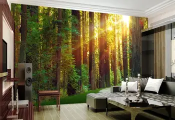 Soarele Pădure Murală Foto Tapet de Hârtie de Contact pentru Camera de zi Dormitor 3d picturi Murale gazete de Perete Luxury Home Decor Personalizat